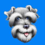BaxterBoo.com discount code